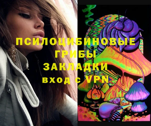 первитин Алексеевка