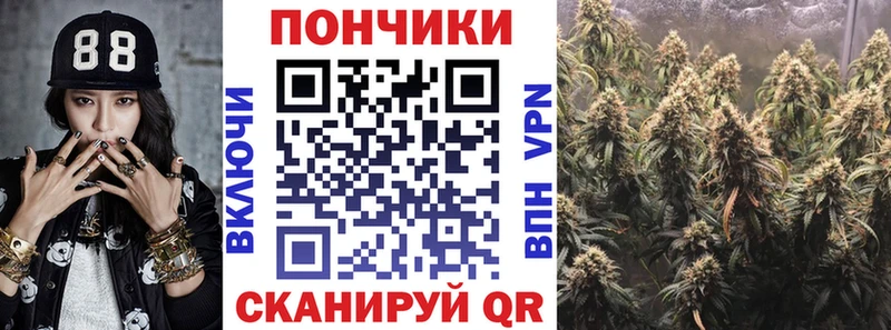 наркота Зея Конопля ГИДРОПОН